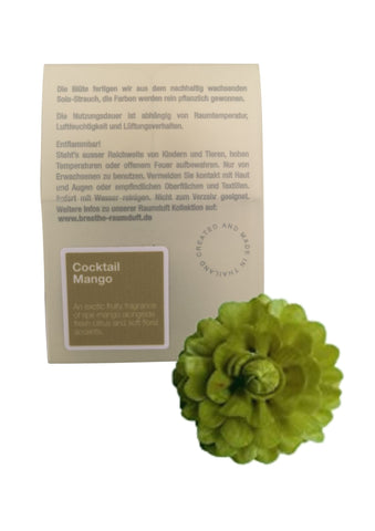 BREATHE _ Raumduft Mini Dew Drop 50ml